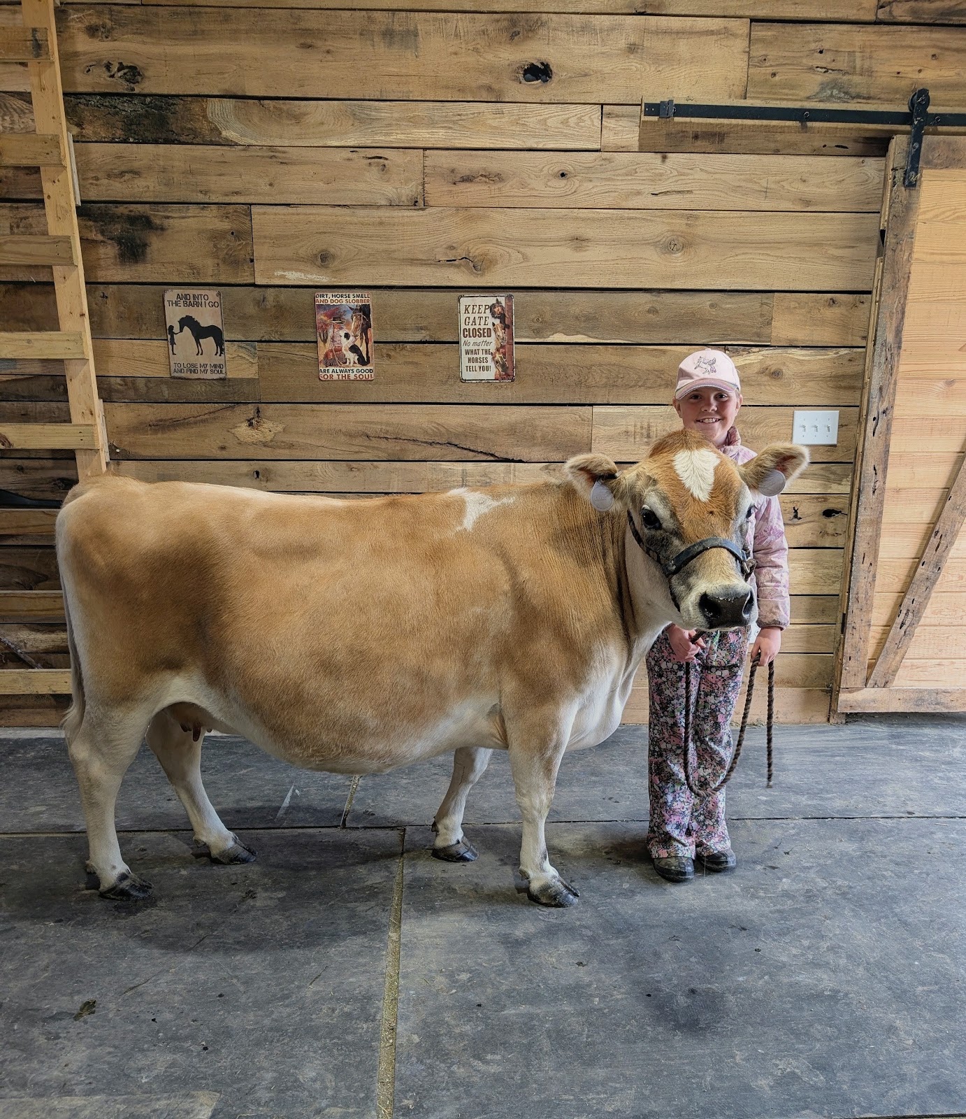 A young girl in a pink cap standing beside a tan and white cow inside a wooden barn.